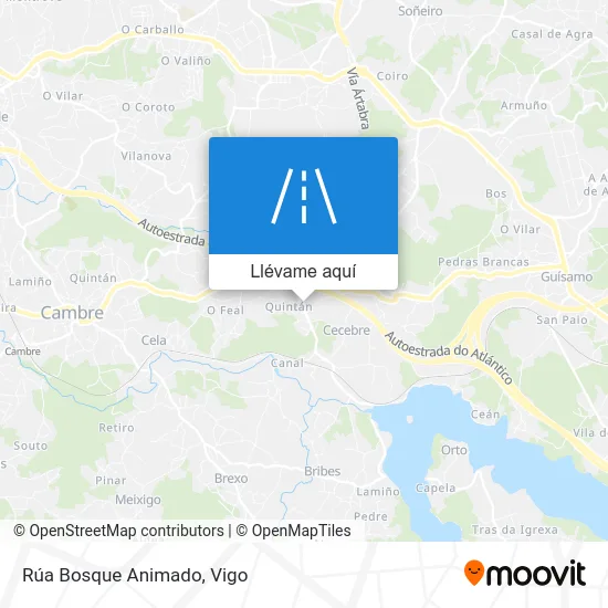 Mapa Rúa Bosque Animado