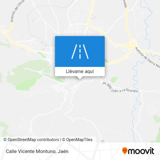 Mapa Calle Vicente Montuno
