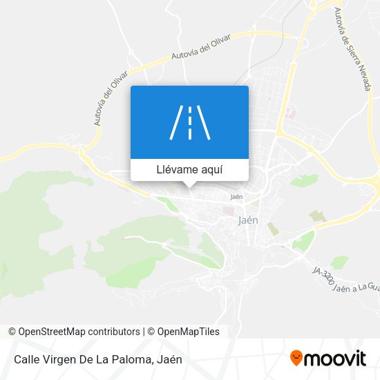 Mapa Calle Virgen De La Paloma