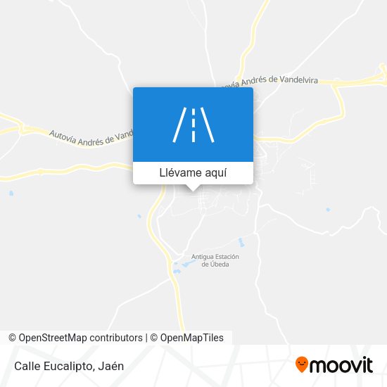 Mapa Calle Eucalipto