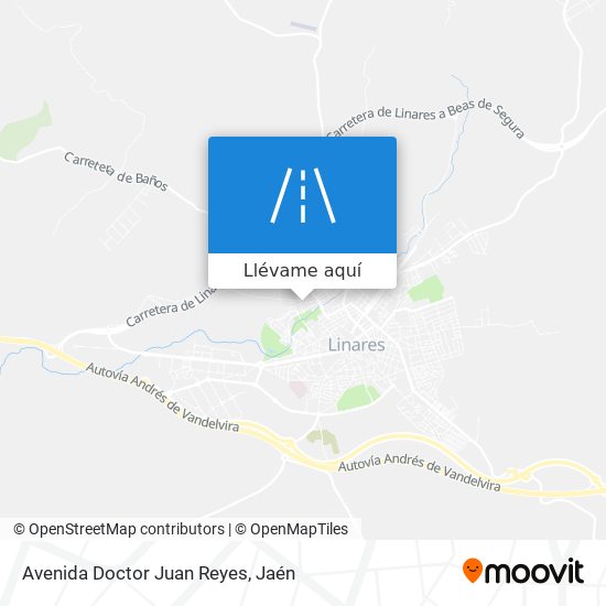 Mapa Avenida Doctor Juan Reyes