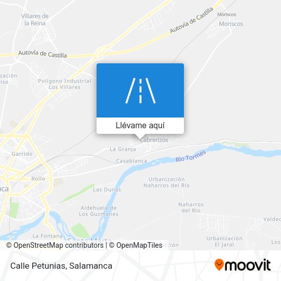 Mapa Calle Petunias