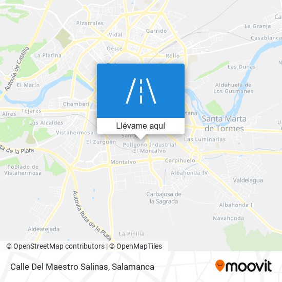 Mapa Calle Del Maestro Salinas