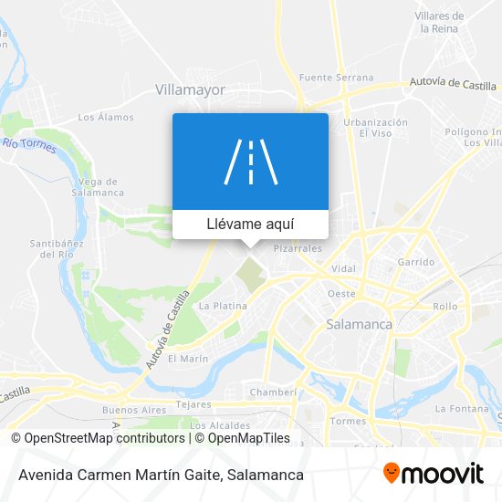 Mapa Avenida Carmen Martín Gaite