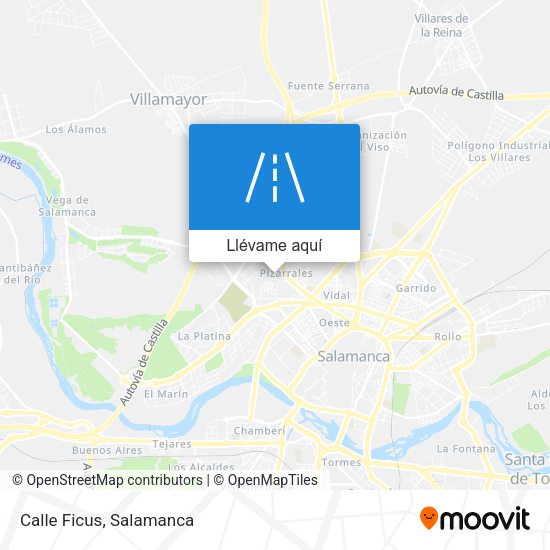 Mapa Calle Ficus