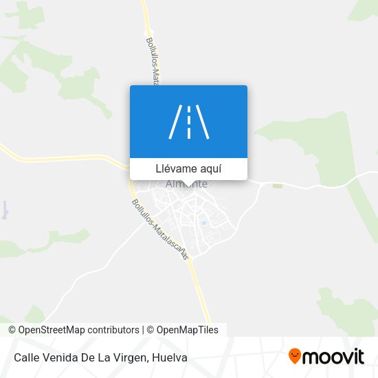 Mapa Calle Venida De La Virgen