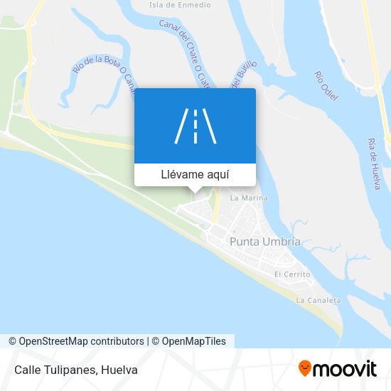 Mapa Calle Tulipanes