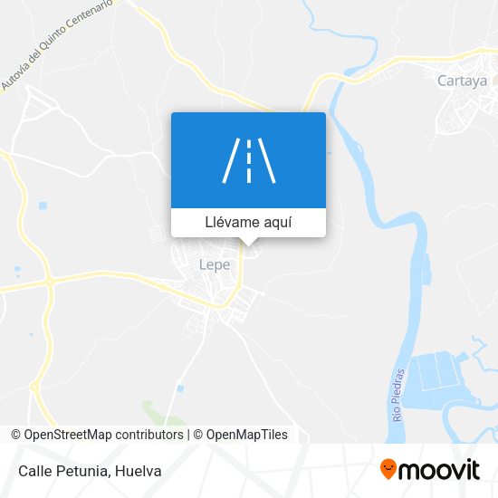 Mapa Calle Petunia
