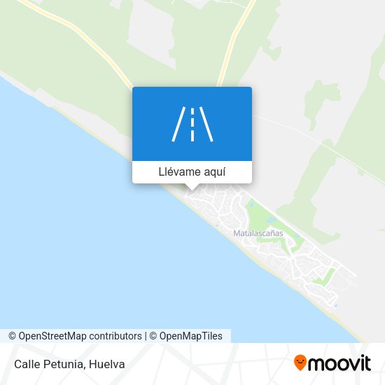 Mapa Calle Petunia