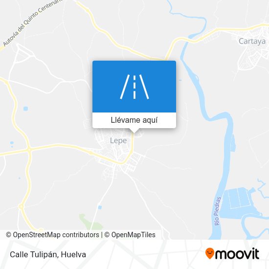 Mapa Calle Tulipán