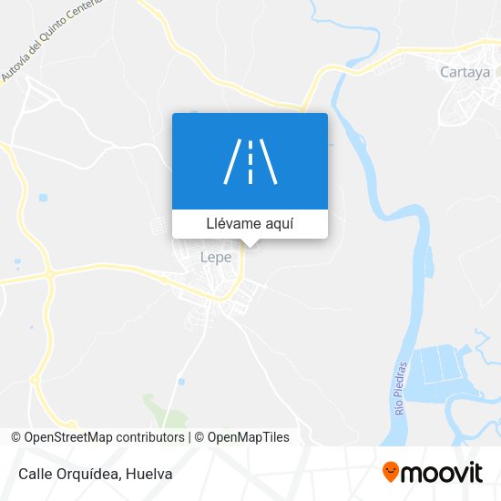 Mapa Calle Orquídea