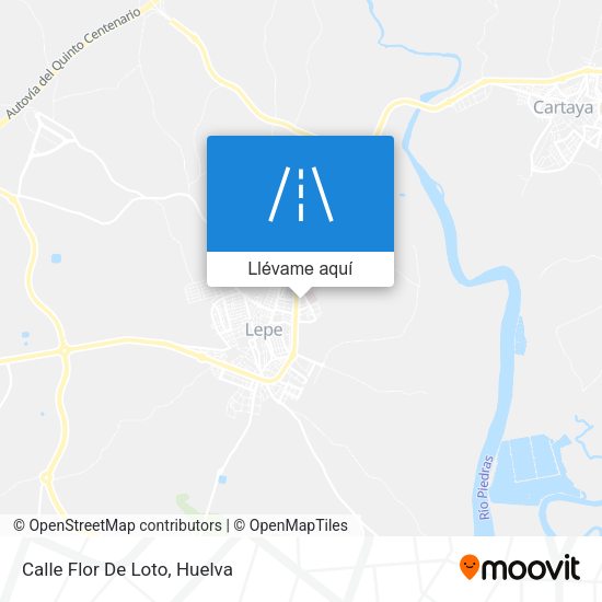 Mapa Calle Flor De Loto