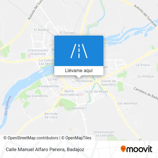 Mapa Calle Manuel Alfaro Pereira