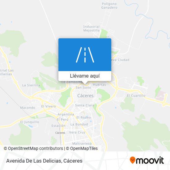 Mapa Avenida De Las Delicias