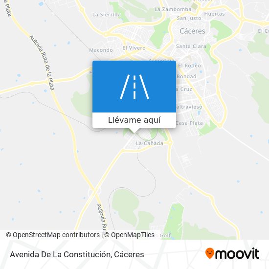 Mapa Avenida De La Constitución