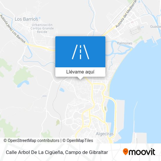 Mapa Calle Arbol De La Cigüeña