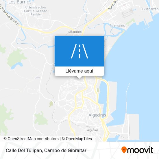 Mapa Calle Del Tulipan