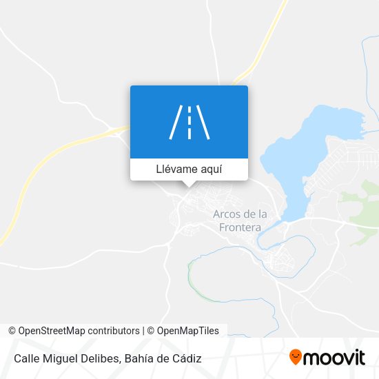Mapa Calle Miguel Delibes