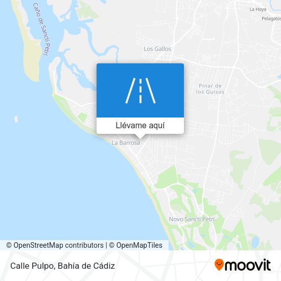 Mapa Calle Pulpo