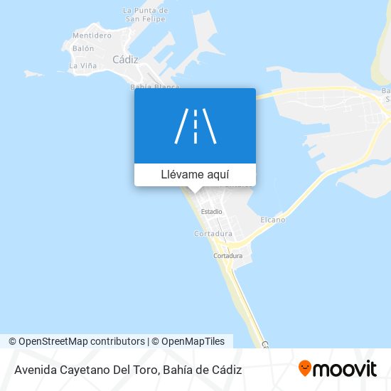 Mapa Avenida Cayetano Del Toro