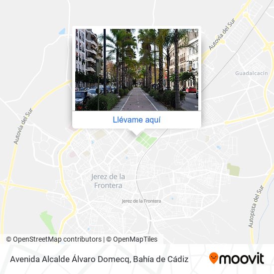Mapa Avenida Alcalde Álvaro Domecq