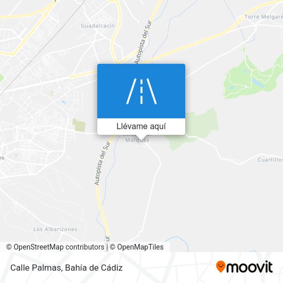 Mapa Calle Palmas