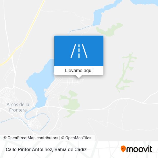 Mapa Calle Pintor Antolínez