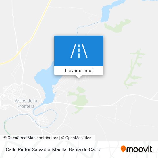 Mapa Calle Pintor Salvador Maella