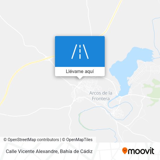 Mapa Calle Vicente Alexandre