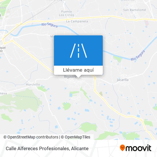 Mapa Calle Alfereces Profesionales