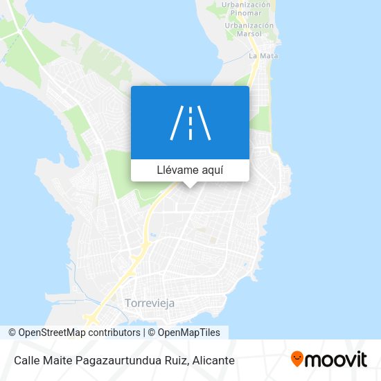 Mapa Calle Maite Pagazaurtundua Ruiz