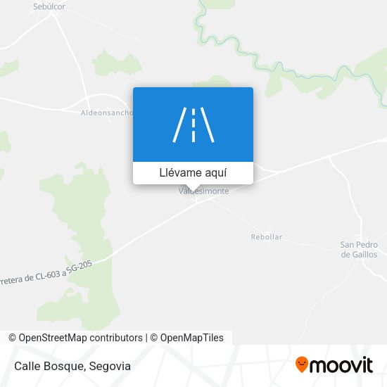 Mapa Calle Bosque