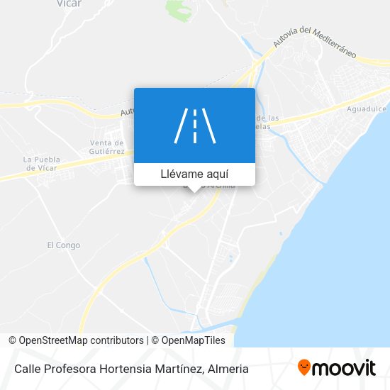 Mapa Calle Profesora Hortensia Martínez