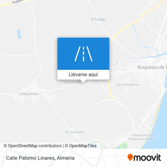 Mapa Calle Palomo Linares