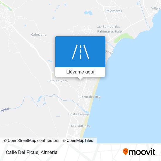 Mapa Calle Del Ficus