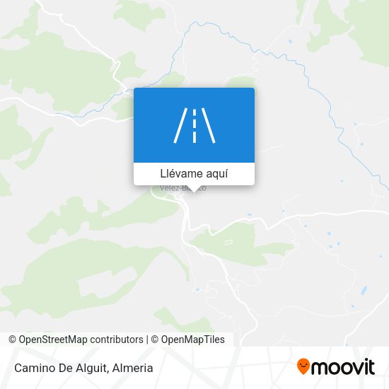 Mapa Camino De Alguit