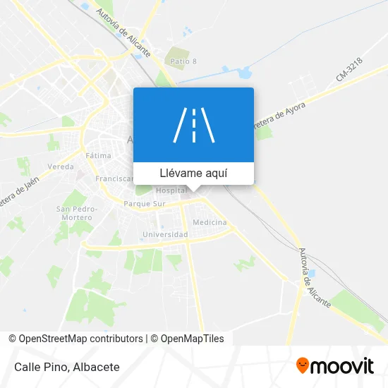 Mapa Calle Pino