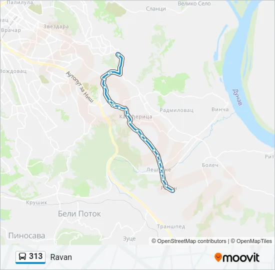 313 Bus Line Map