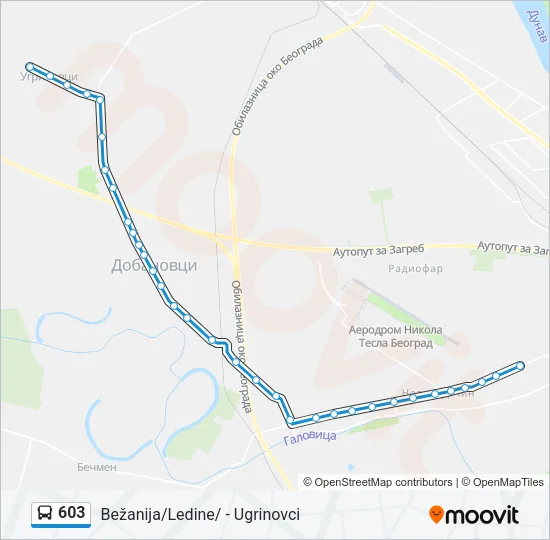 603 Bus Line Map