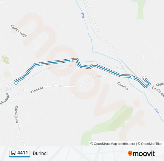 4411 Bus Line Map