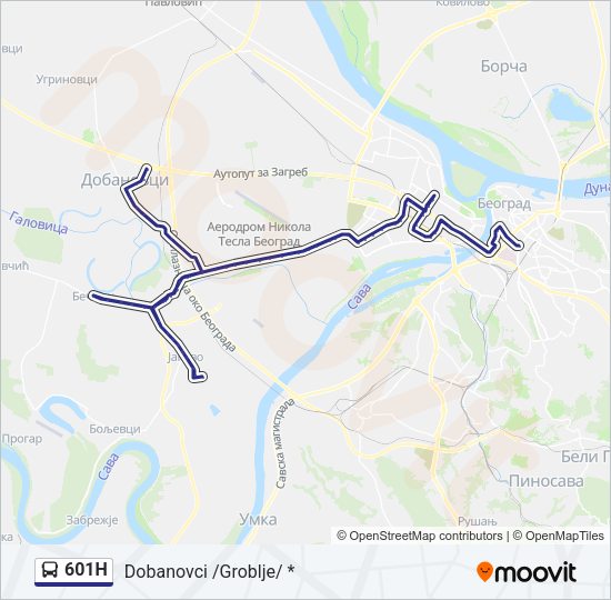 601н Route: Schedules, Stops & Maps - Dobanovci /Groblje/ * (Updated)