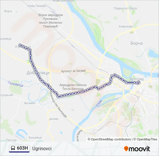 603Н Bus Line Map