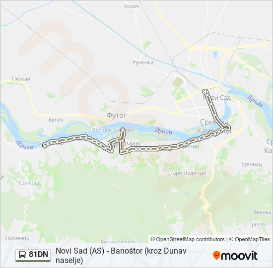 81DN bus Line Map