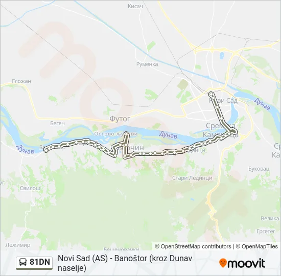 81DN Bus Line Map