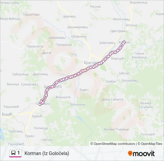 1 Bus Line Map