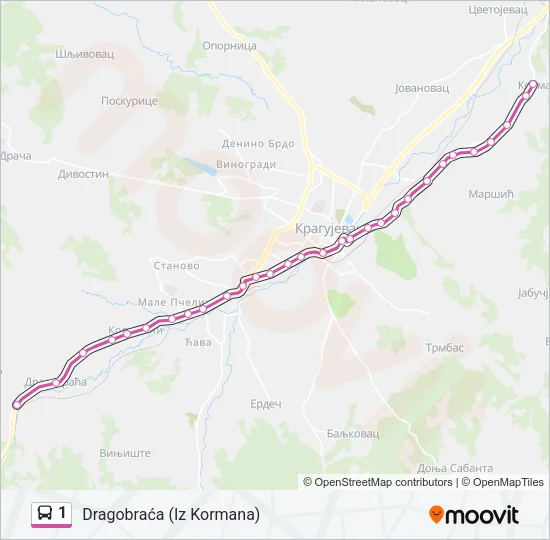 1 Bus Line Map