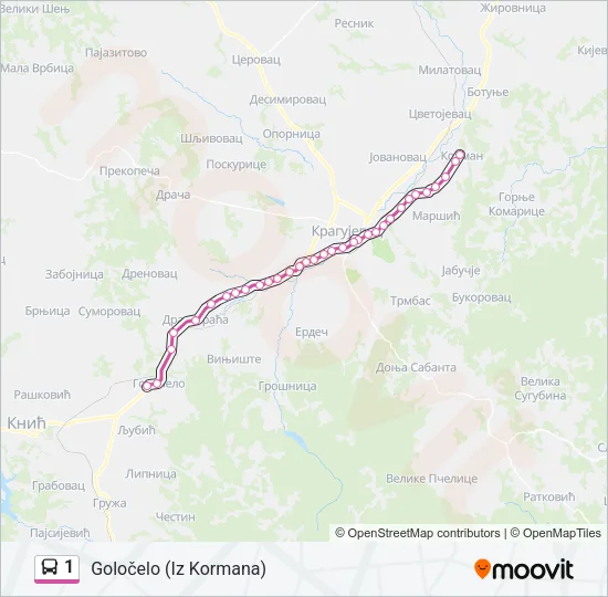 1 Bus Line Map