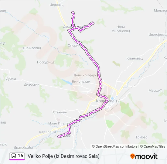16 Bus Line Map