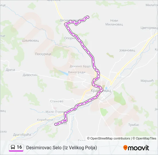 16 Bus Line Map