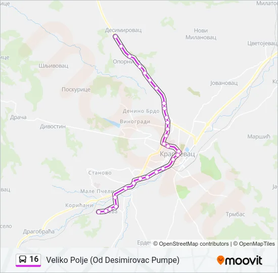 16 Bus Line Map